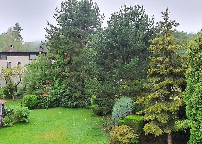 Sierra U Beaty Buczkowice